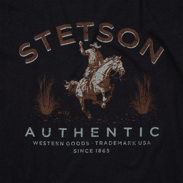 Stetson Authentic Graphic Tee