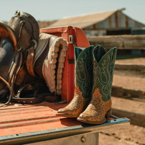 Ozzy Ostrich Boot Stetson
