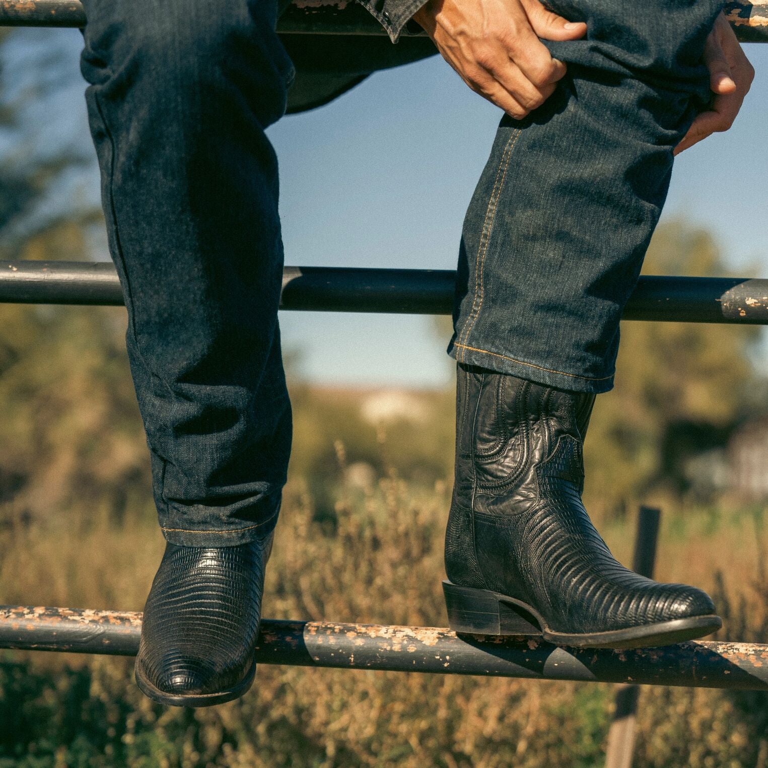 Stetson Wayne Teju Boots Stetson Wayne Teju Boots