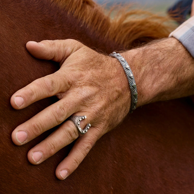 horse shoe ring