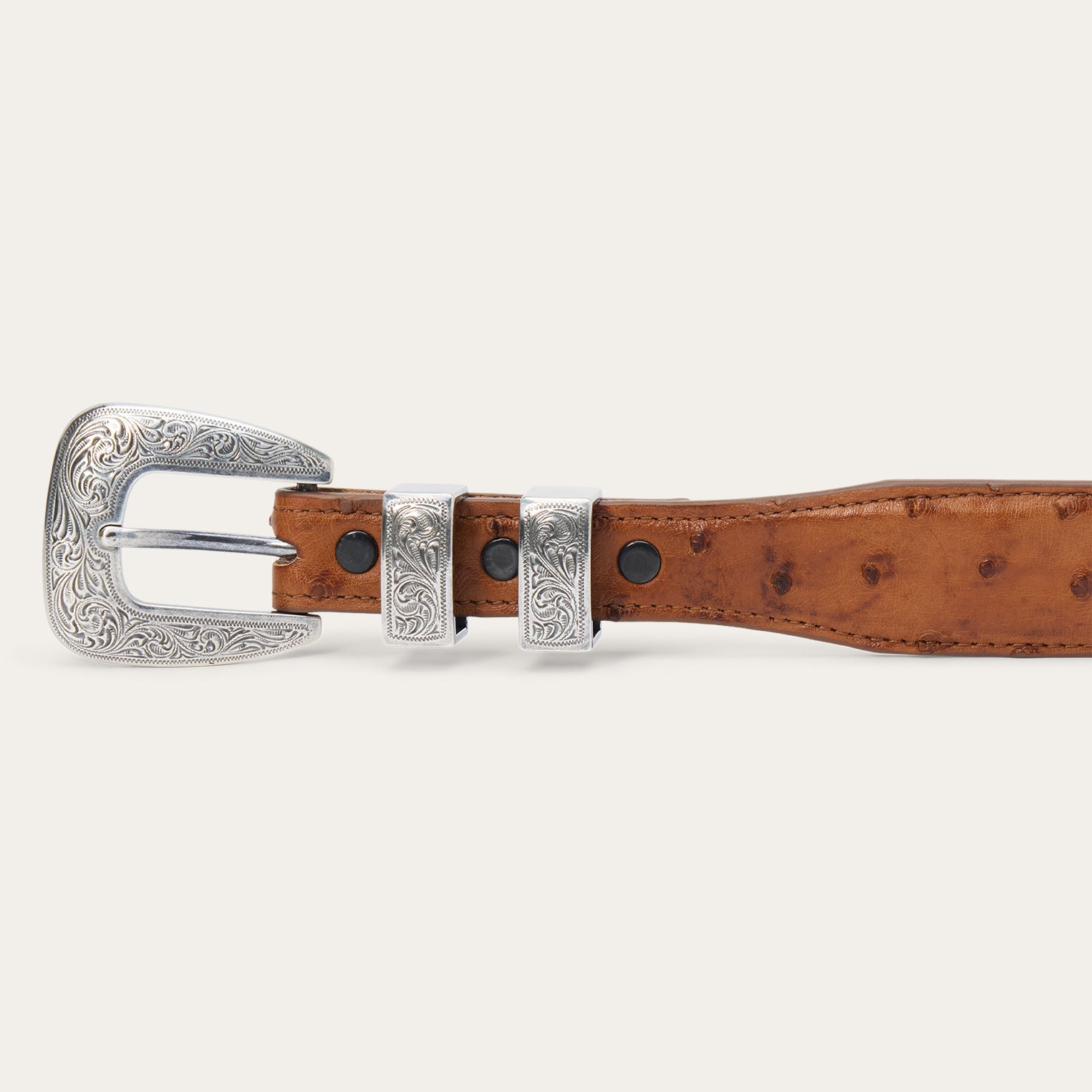 Stetson Ostrich Tapered Tab Belt Stetson Ostrich Tapered Tab Belt