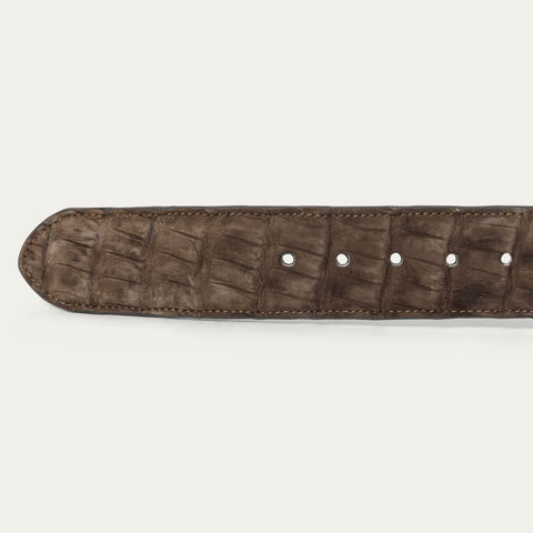 Cigar