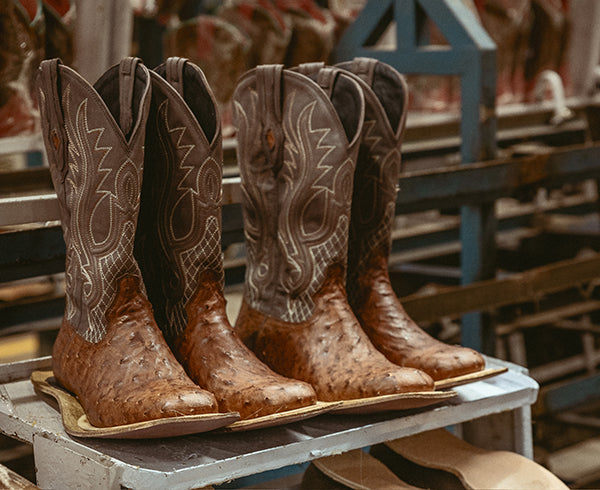 Puncher Boots Stetson